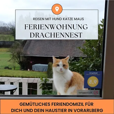 Апартаменты Drachennest Mit Sonnenterrasse *